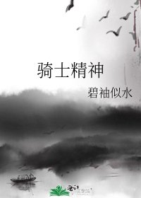 《騎士精神》
