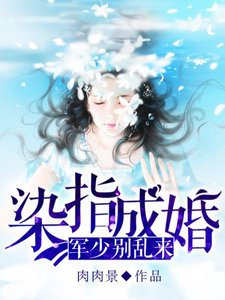 《染指成婚:軍少別亂來》